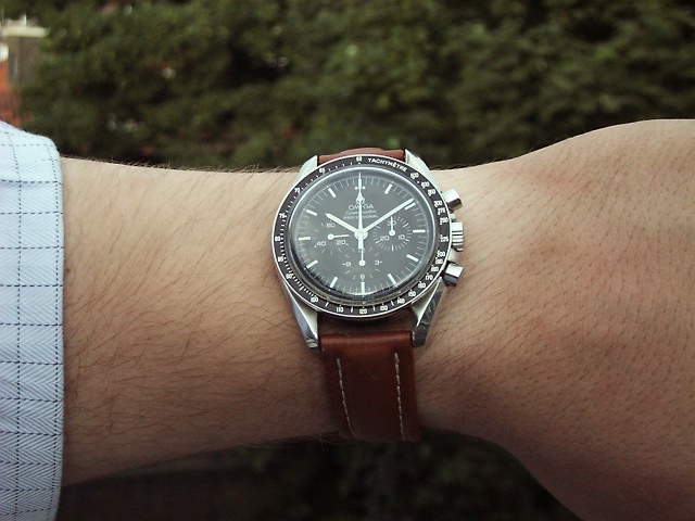 speedmaster brown strap